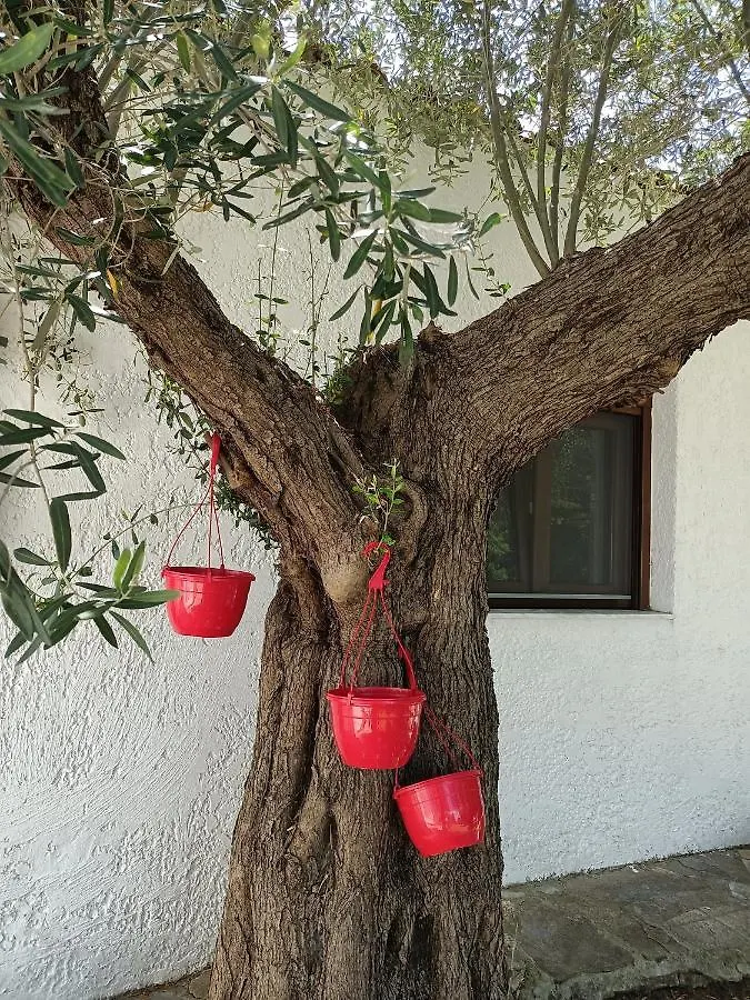 Marios Garden House Apartment Afytos